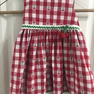 Sophie Rose 24M Red Checkered Cherry dress